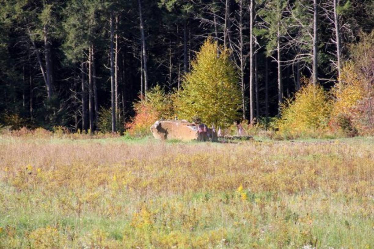 4-El cuarto avión - El vuelo 93 de United Airlines: el cuarto avión secuestrado se estrelló en Shanksville, Pensilvania, en campo abierto. Según las teorías de conspiración el vuelo 93 fue el único que no alcanzó su objetivo (Washington), así que fue derribado por un misil y se desintegró en el aire, lo que ocasionó que los restos se desperdigaran en un área extensa.<br/><br/>Sin embargo, hay fotografías que muestran los escombros del avión y la caja negra. Esta última indica que hubo una revuelta de los pasajeros, que intentaron tomar el control del avión, por lo que los secuestradores deliberadamente lo estrellaron.<br/><br/>(Foto vía Flickr Itinerant Wander)