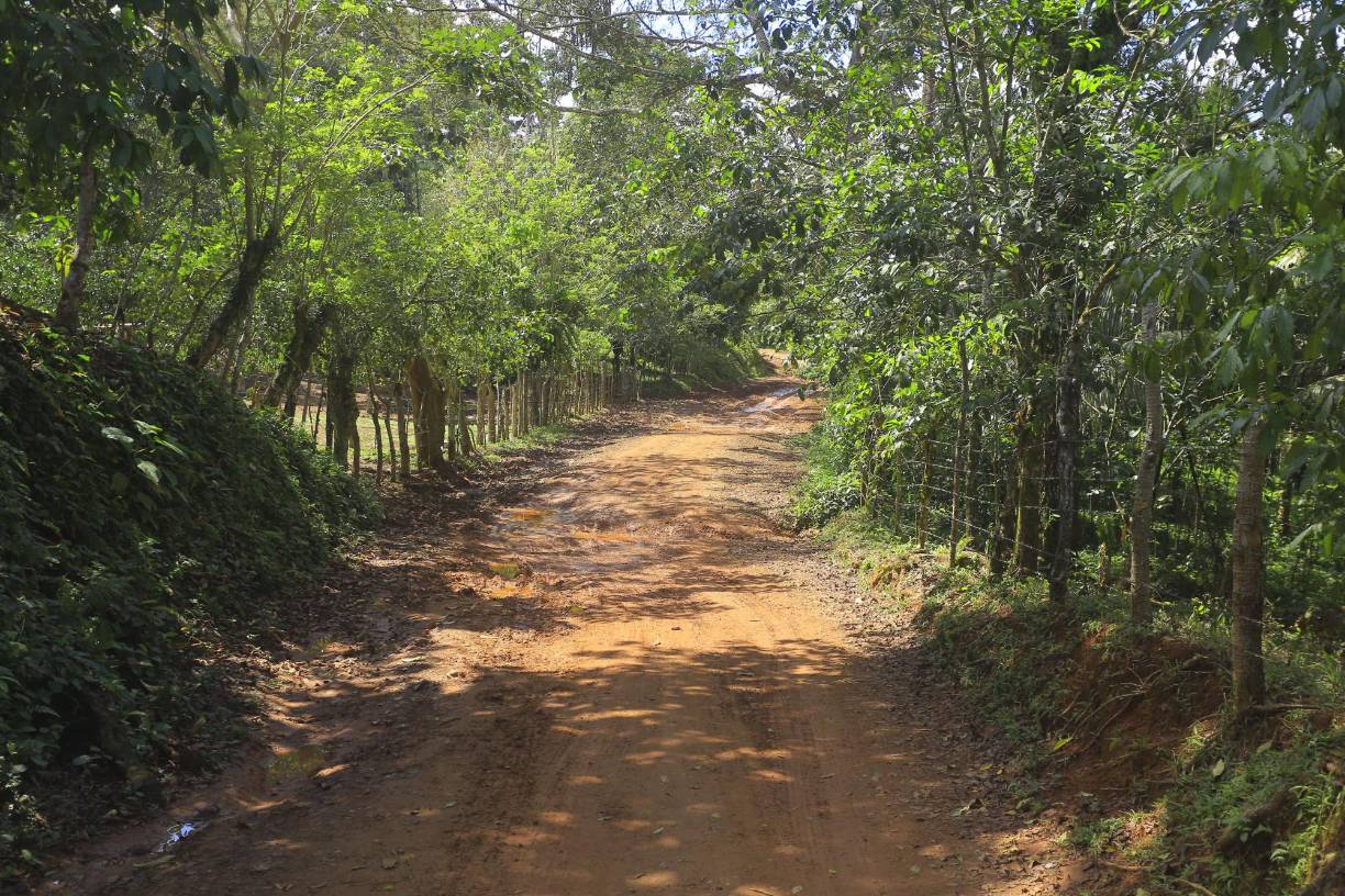 “Se nos complica por no poder montar vigilancia al ser terrenos ajenos y no contar con el permiso. Aquí hay bastantes propiedades privadas que nos limitan el monitoreo”, recalca el oficial. 