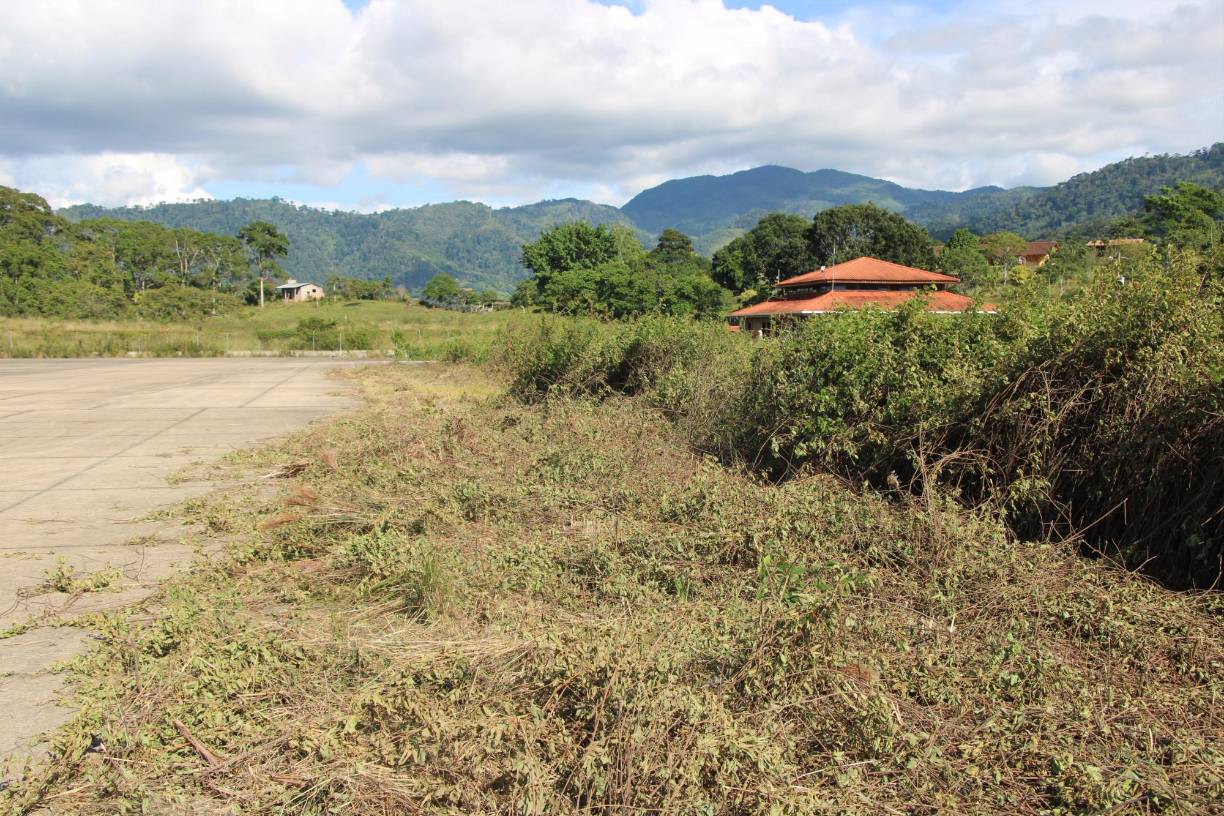 Sin embargo, el área circundante a la terminal y la pista está tomada por la maleza.
