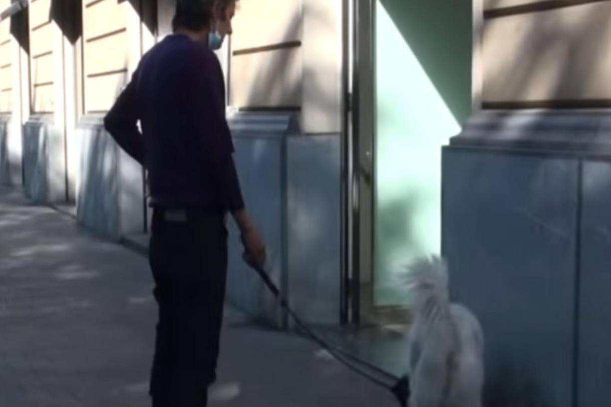 Schillaci representó a Lazio, Palermo, Rimini, Licata, Messina y Juventus Stabia durante una carrera como jugador que estuvo marcada por problemas de lesiones.