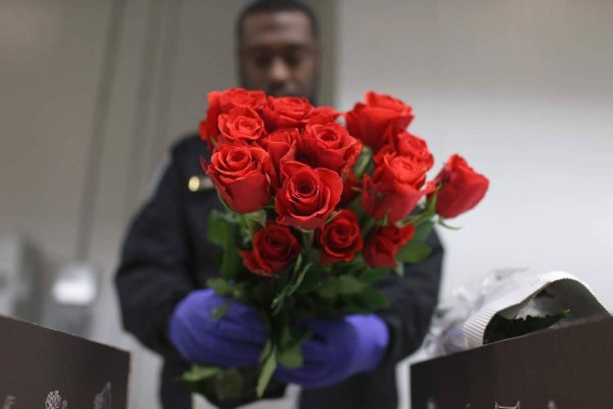 Durante los cinco días que llevan a la festividad de los enamorados, el aeropuerto trabajará en la inspección y almacenaje de 209,000 toneladas de flores dirigidas a miles de personas a lo largo de Estados Unidos, motor de un negocio valorado en 900 millones de dólares.