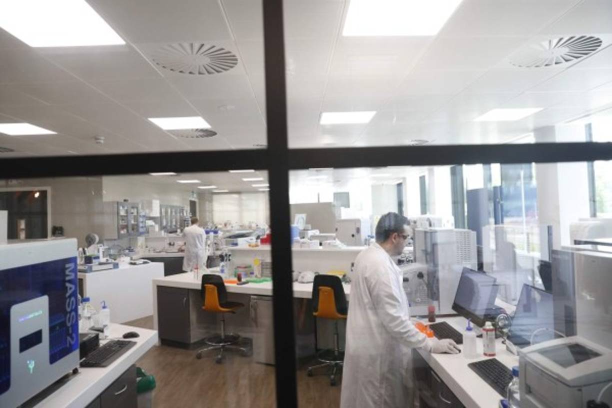 Los científicos de Oxford sometieron hace un mes a seis monos de esta especie a la vacuna y después los expusieron a altas dosis de covid-19, las mismas que anteriormente habían enfermado a otros monos, con la grata sorpresa de que 28 días después de haber recibido la vacuna, presentaron buen estado de salud.<br/><br/><br/><br/><br/>