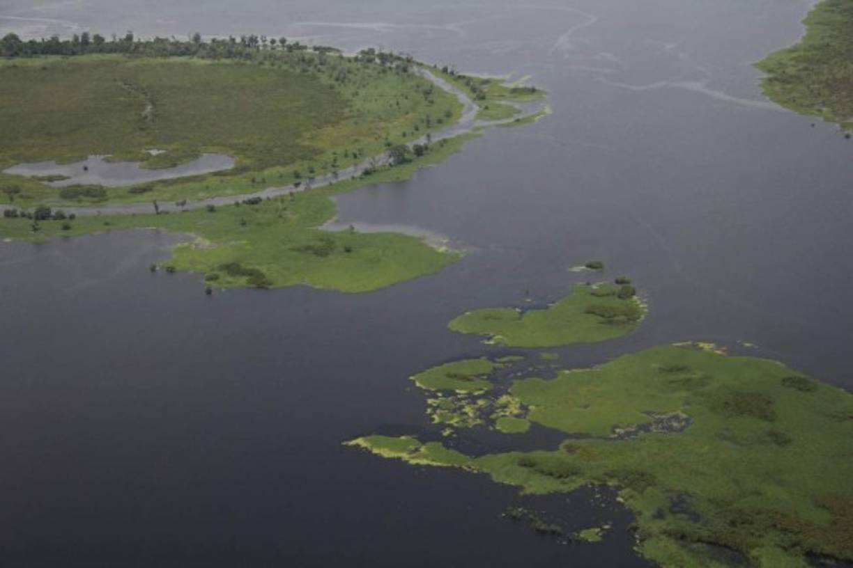 El Pantano de Atrato está ubicado en el noreste de Colombia. Es considerado uno de los lugares más inaccesibles de Sudamérica.La elevada humedad, los insectos y la falta de vías de comunicación lo han convertido en un lugar difícil de acceder para el hombre moderno. Los únicos habitantes que posee este lugar son los Emberá, nativos amerindios.Foto:Rioatrato.org.
