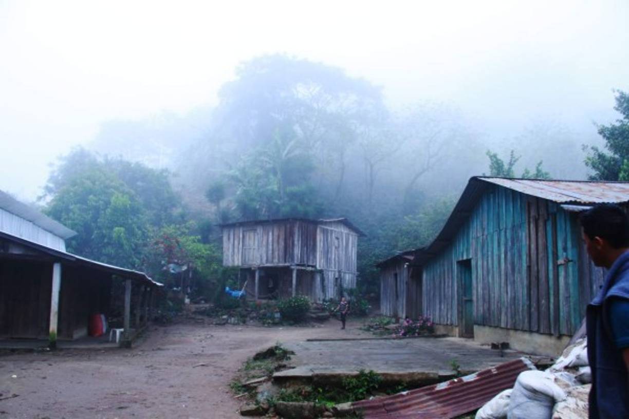 La precariedad en la aldea se ve reflejada con la improvisada choza que los padres de familia reconstruyeron para que sus hijos tengan acceso a la educación, luego de que el año anterior los fuertes vientos en la zona destruyeran un aula similar.<br/>