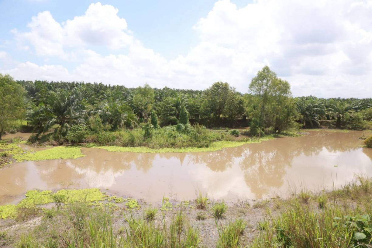 Delmis Cardona, coordinador del comité de emergencia de La Lima y de la red de comités de emergencia del valle de Sula, dijo que se han reparado algunos puntos vulnerables que había en los bordos.