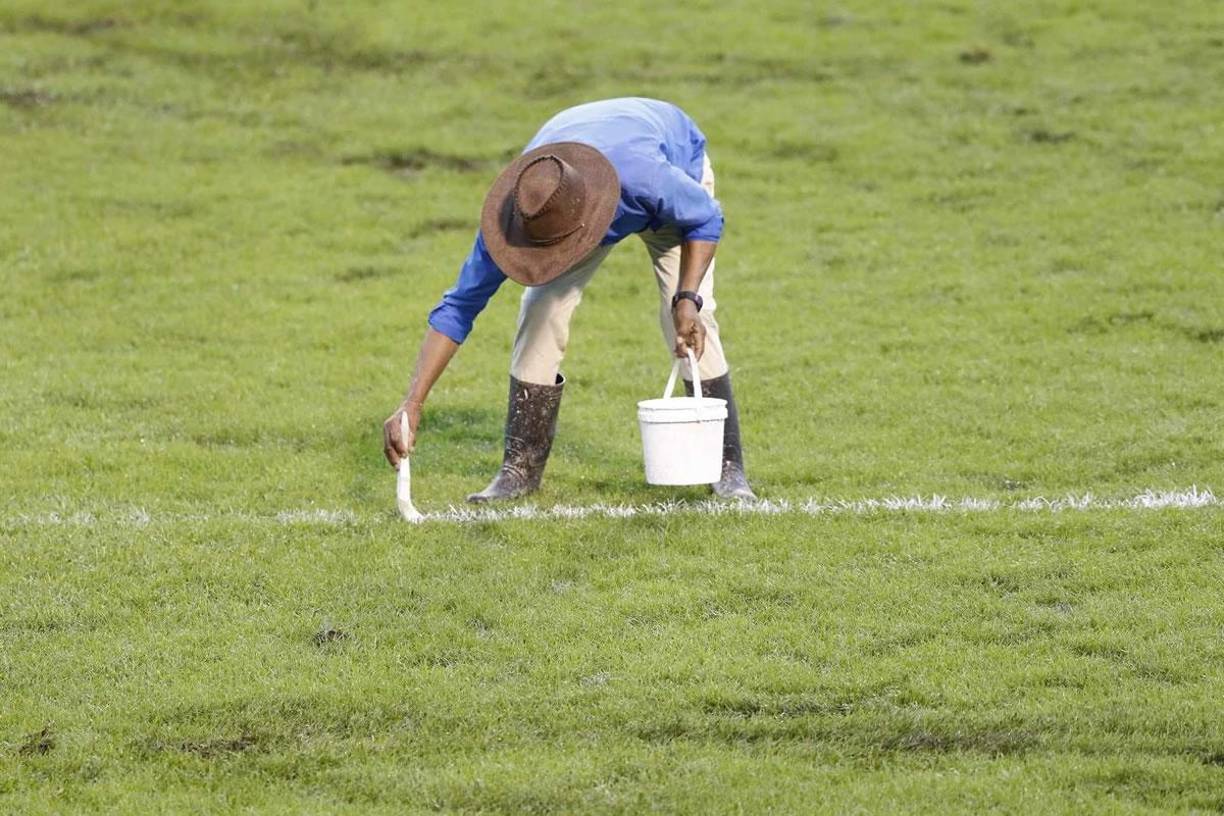 Así pintaron las líneas de la cancha del estadio Olímpico Metropolitano que está en malas condiciones debido a las fuertes lluvias que han azotado a San Pedro Sula.