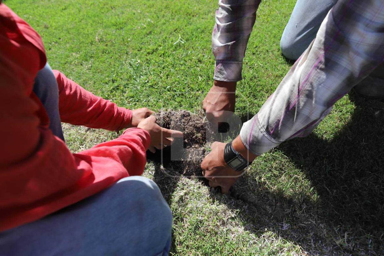La cancha del estadio será removida en su totalidad antes que se realice el concierto de Daddy Yankee el próximo jueves 10 de noviembre. El proceso tardará alrededor de cinco meses.