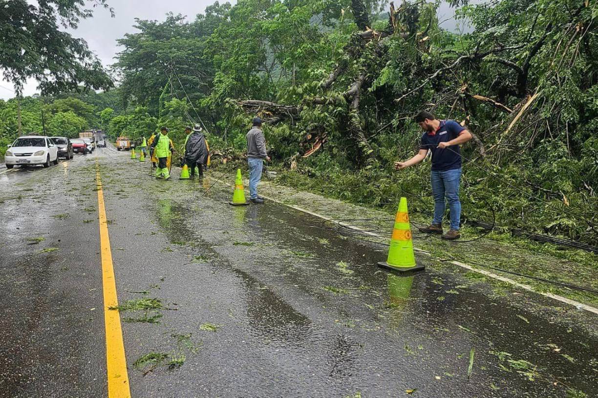 Eequipos municipales realizan labores de limpieza en el bulevar del sur de San Pedro Sula.