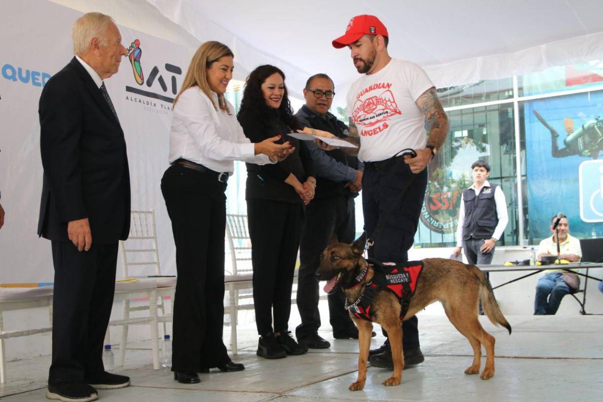 Fue la alcaldía de Tlalpan México que compartió las fotografías de los 20 valientes lomitos que se graduaron del segundo Taller de Perros de Búsqueda y Rescate. Hoy listos para realizar su tarea.