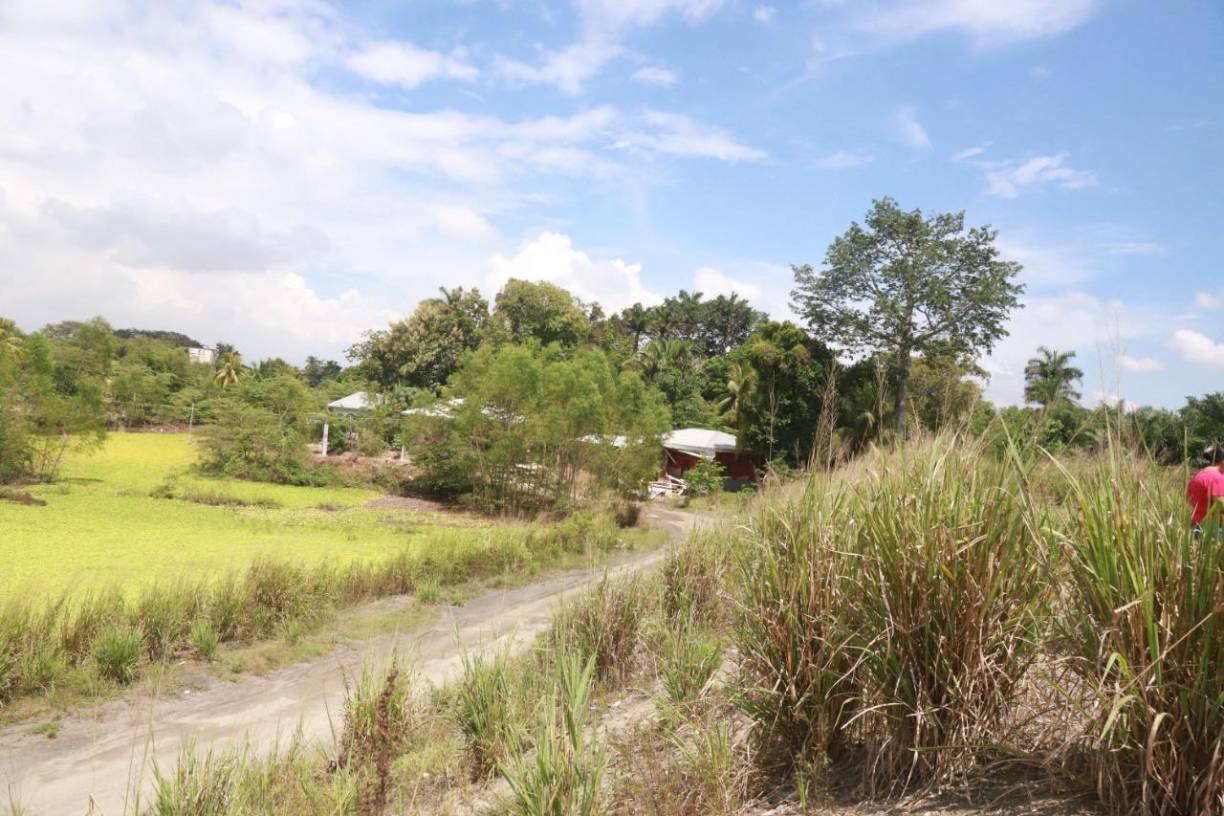 Los pobladores de los bajos de Choloma demandan al Gobierno que inicie la reconstrucción del bordo del río Chamelecón, que protege a unas 16 aldeas, pues hay filtraciones que con las lluvias ocurridas la semana fueron más fuertes.