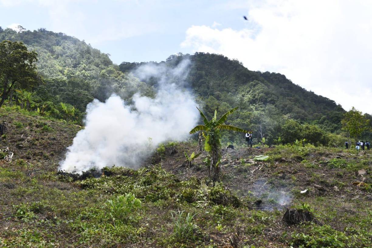 Ese día se capturó un hombre de 44 años en la plantación y se puso a la orden de la fiscalía por suponerlo responsable del delito de tráfico de drogas en su modalidad de siembra.