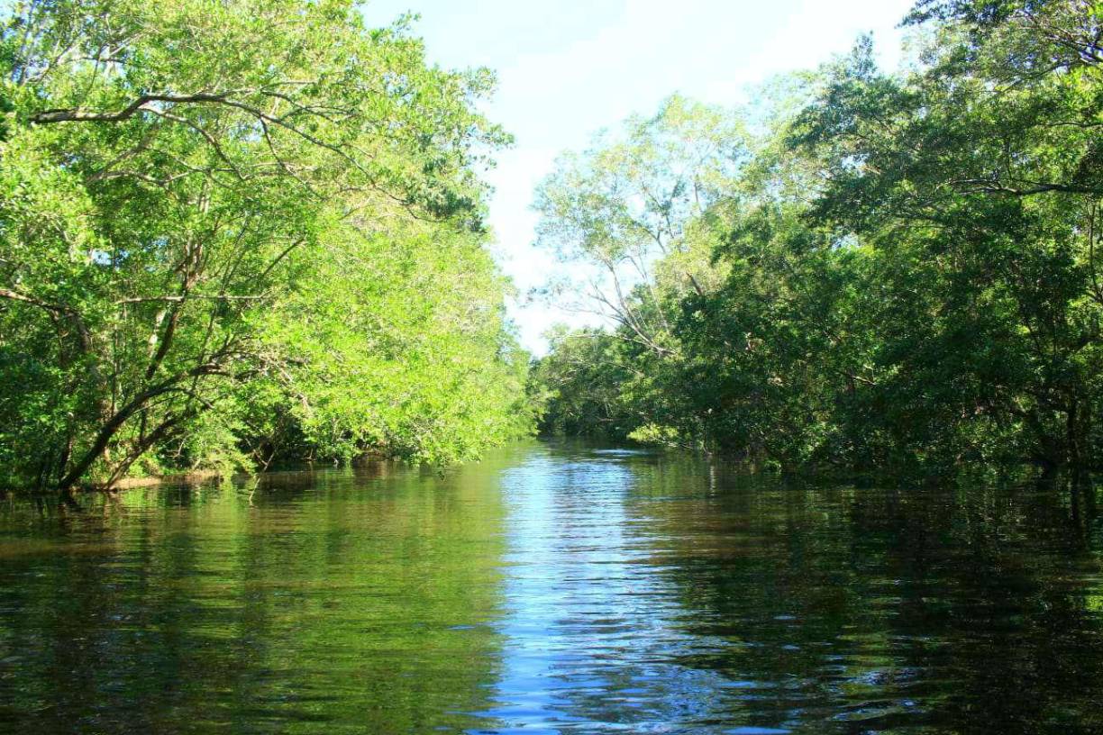 En el canal de Chambers de Puerto Cortés, los turistas pueden hacer recorridos en lancha o en kayak.