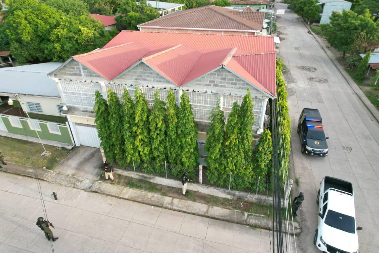 Se les investiga por otros delitos, entre ellos: trata de personas, robo de vehículos, asaltos, entre otros; por ello, la ATIC mediante esta operación en los allanamientos e inspecciones documentará y recolectará otros indicios a fin de individualizar a otros sospechosos.