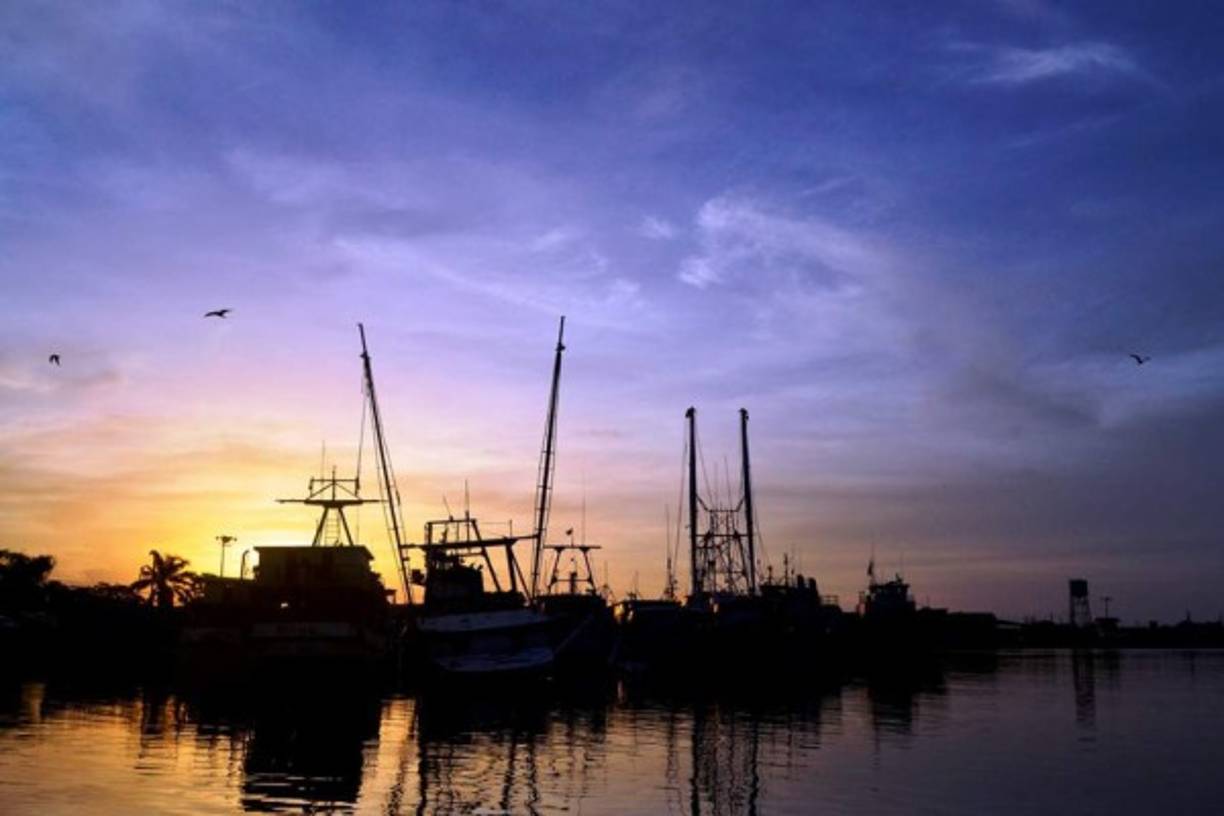 Guillermo Anderson era un amante de la fotografía.