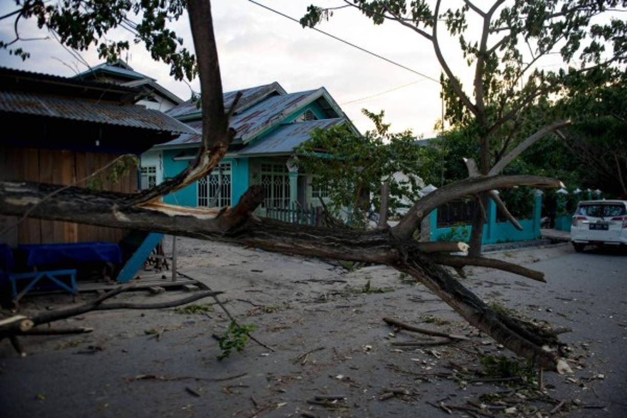 Los coches destrozados y árboles arrancados de raíz reflejaban la violencia con la que la ola, de 1,5 metros de altura, golpeó la localidad.