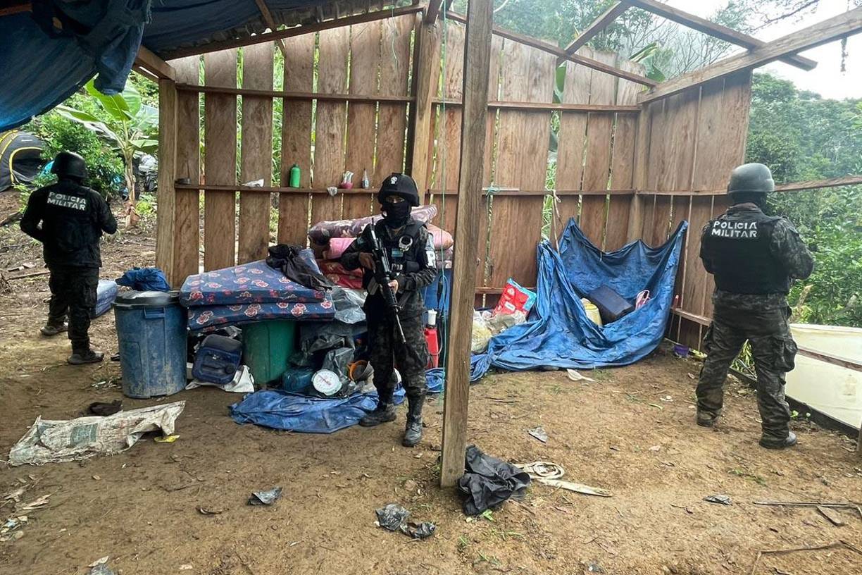 Dos plantaciones con supuesta hoja de coca fueron descubiertas este martes en el cerro la Libertad de Olanchito, Yoro.