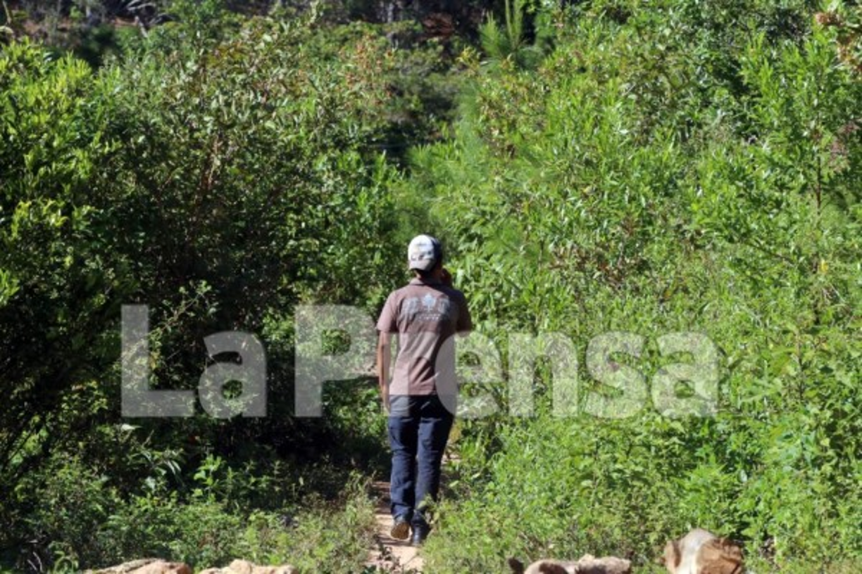Sin duda alguna, este caso de Guajiquiro mantiene conmocionados a los hondureños que claman porque la paz vuelva a reinar en este tranquilo y callado lugar.