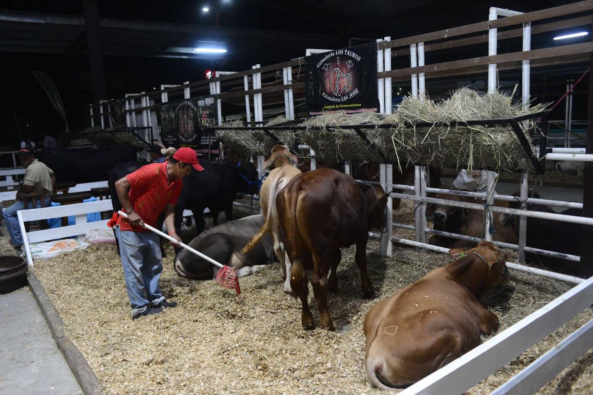 Sampedranos ya disfrutan del Campo Agas