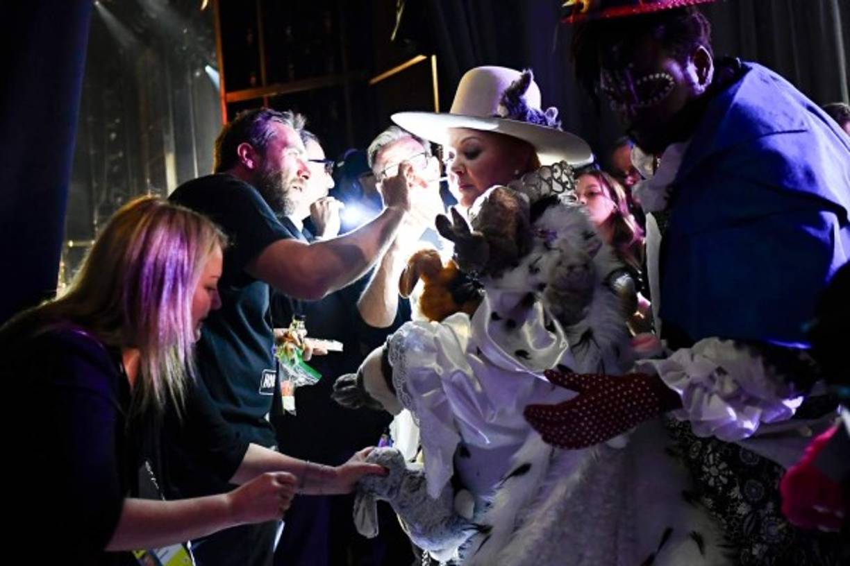 Melissa McCarthy presentó el Oscar a Mejor Diseño de Producción, momento en que el público se asombró y se divirtió gracias al vestido de conejos con el que la actriz apareció, en alusión a la película 'The Favourite', pero para ello necesitó a un equipo de personas que le cuidaron hasta el mínimo detalle.