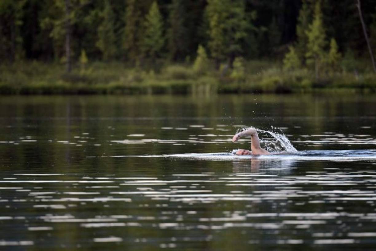 Putin también se dio un refrescante baño en un lago de la zona, donde, pese a ser verano, las temperaturas descienden hasta los 5 grados sobre cero.