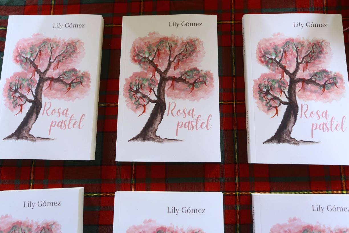 La obra presentada por Gómez: “Rosa pastel”.