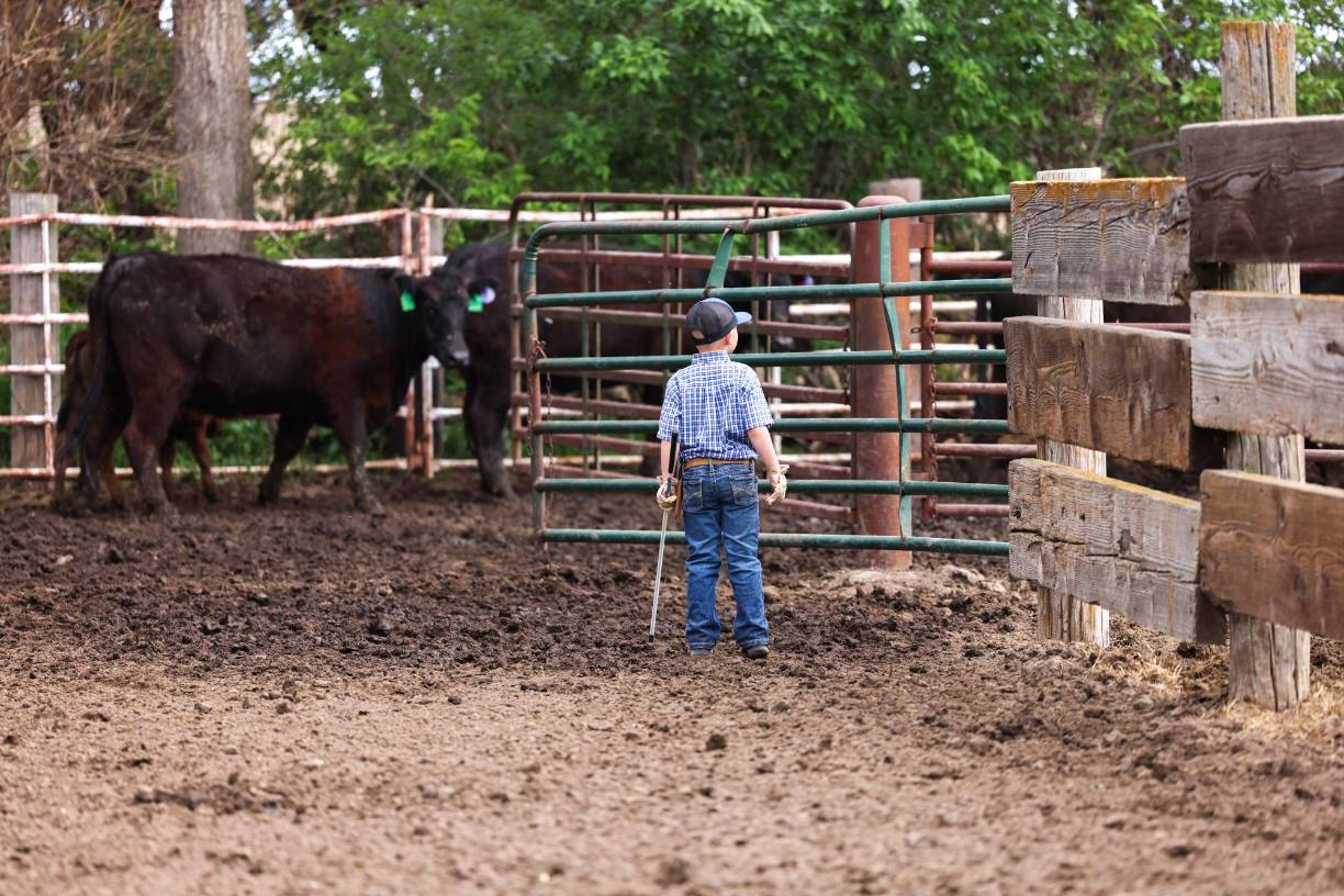 En los pequeños pueblos de esta región rural, para mantener abiertas las escuelas, los hogares de ancianos y las tiendas, “la gente dice: ‘los necesitamos ahora’”, subraya Kathleen Grant, directora de una organización de asociaciones locales.