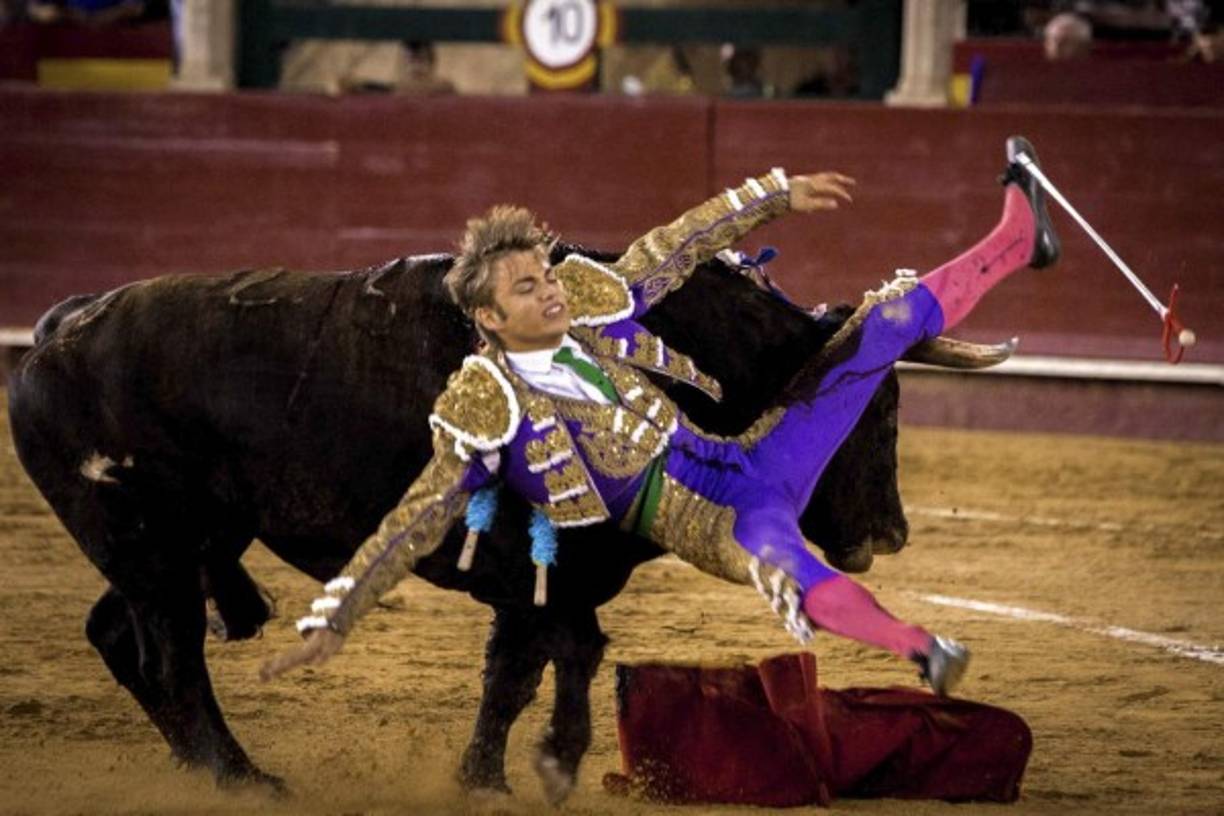 CORRIDA DE TOROS. Fuerte cornada a francés. El novillero francés Andy Younes sufre una cornada durante la novillada de la Feria de Julio de Valencia, en el que ha compartido cartel con Cristian Climent y el mexicano Luis David Adame. Foto: EFE/Biel Aliño.