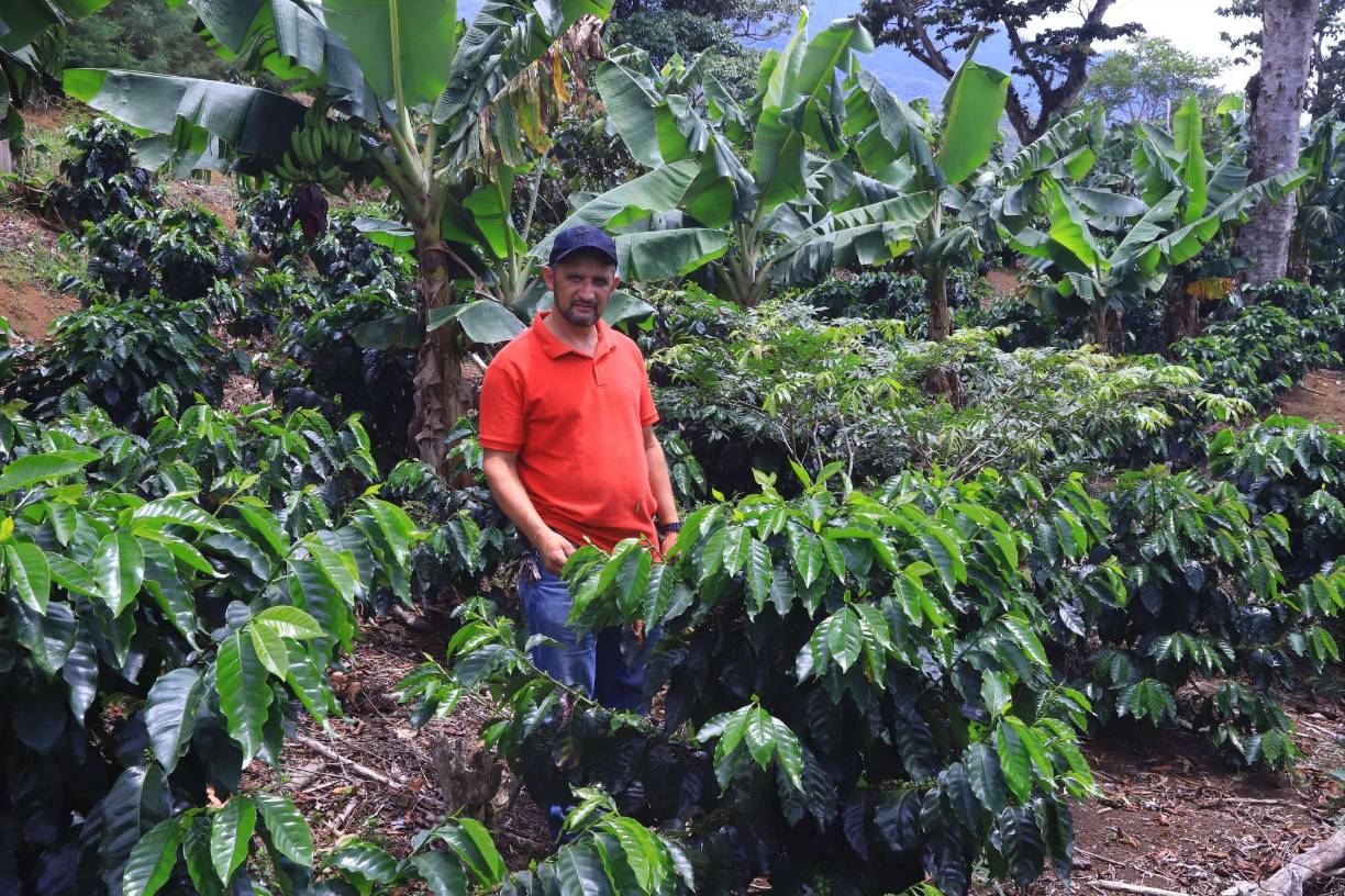 Durante la transmisión, Tinoco conoció acerca de las múltiples oportunidades que tenían los ganadores de la competencia y descubrió que tanto la altura como las condiciones climáticas de su finca eran idóneas para producir cafés especiales. Esto lo motivó para que, pese a su escaso conocimiento, se atreviera a participar en la sexta edición del concurso, que se celebró en 2009.