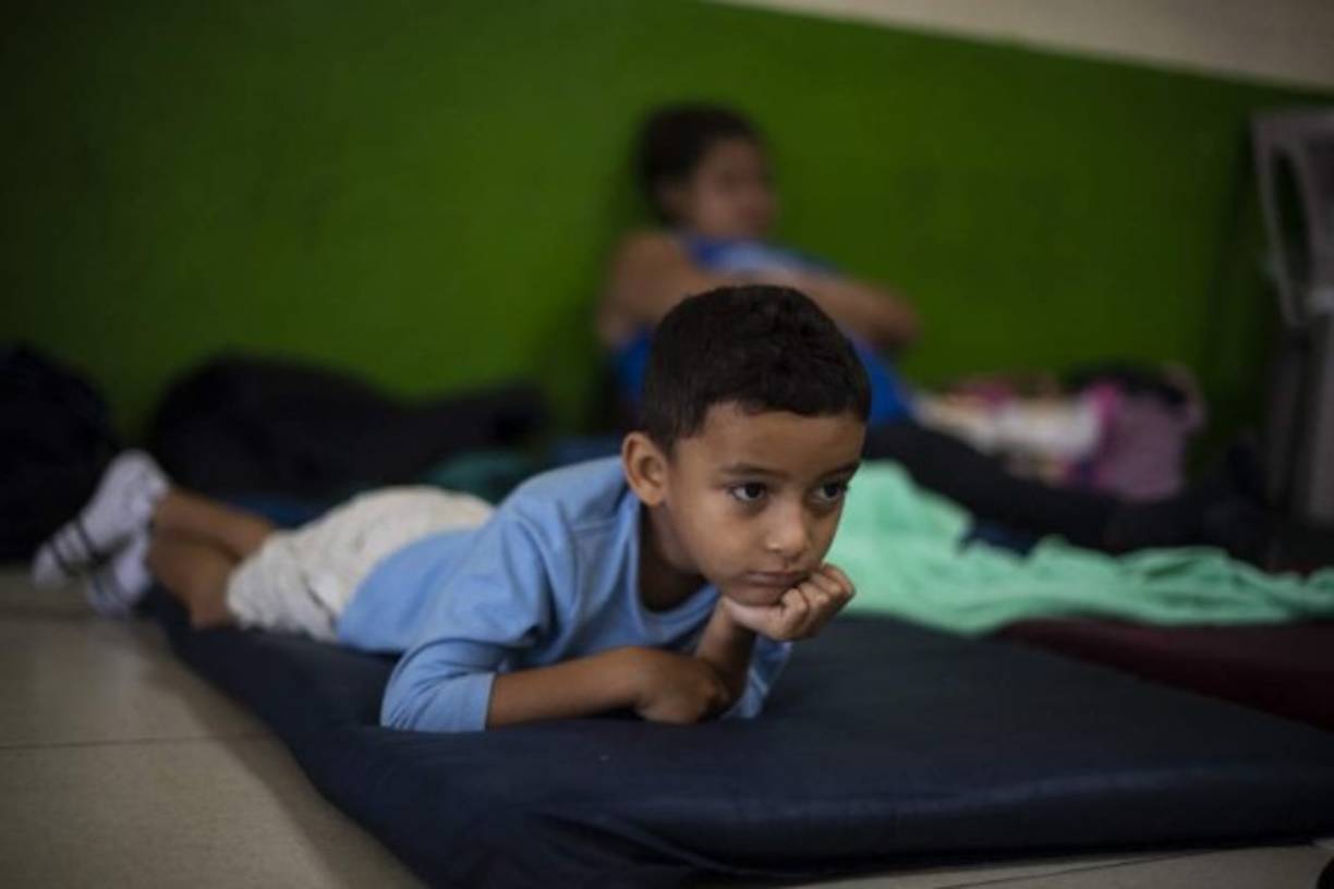 Si saber lo que le espera más adelante en el camino, este pequeño espera en un albergue mientras llega el momento de reanudar la marcha.