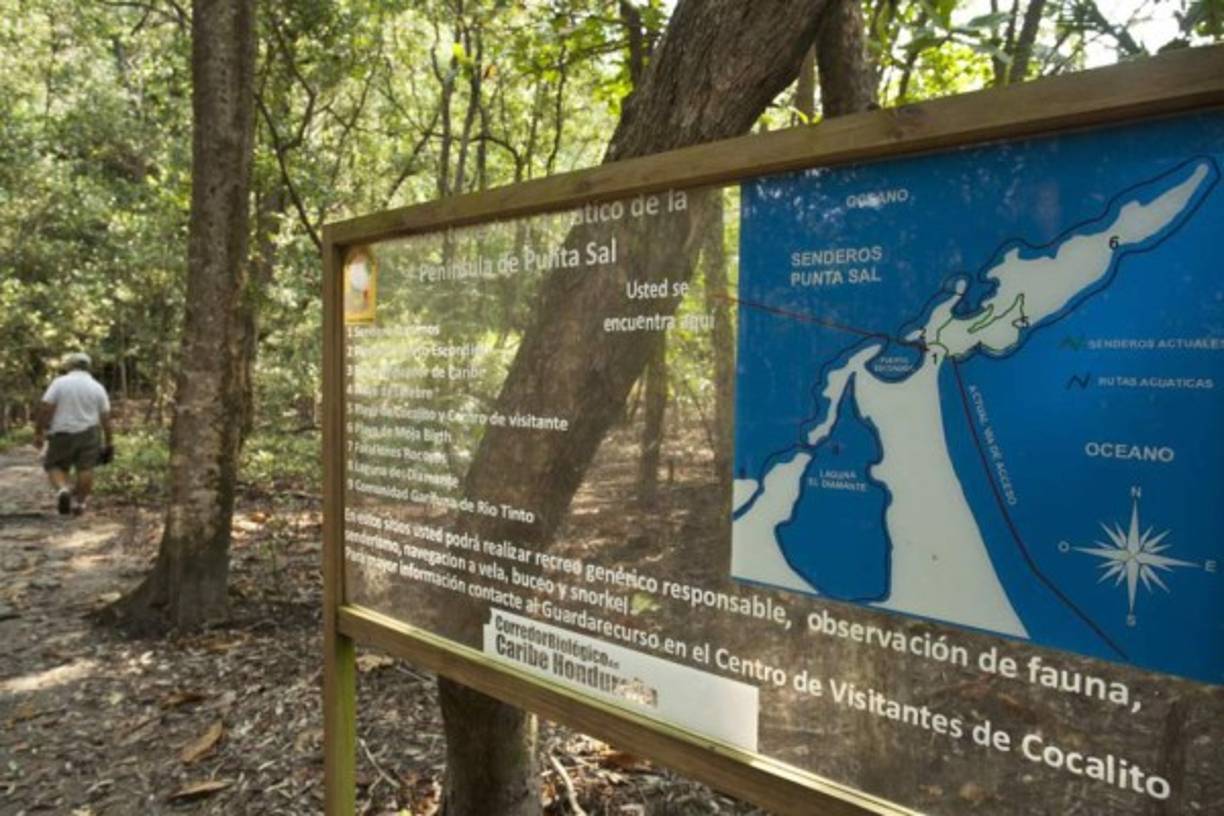 El parque Jeanette Kawas es un paraíso natural que debe ser visitado. No puede faltar en la lista de los preferidos en el sector de Tela.