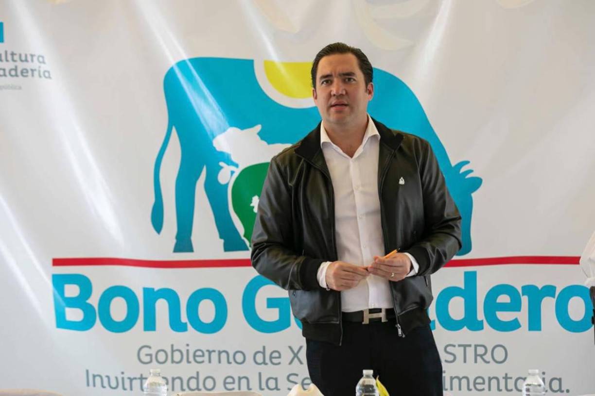 Funge como asesor privado en el gobierno que dirige su madre, lo que lo convierte en el funcionario más cercano a la primera mujer presidenta de Honduras. 