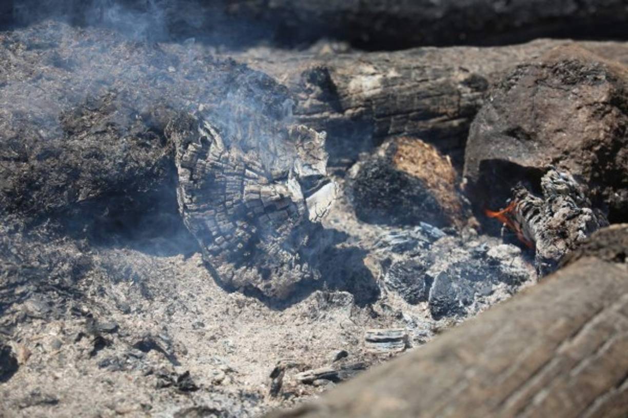 Aunque moribundas, algunas llamas siguen vivas en estos troncos calcinados por el fuego.