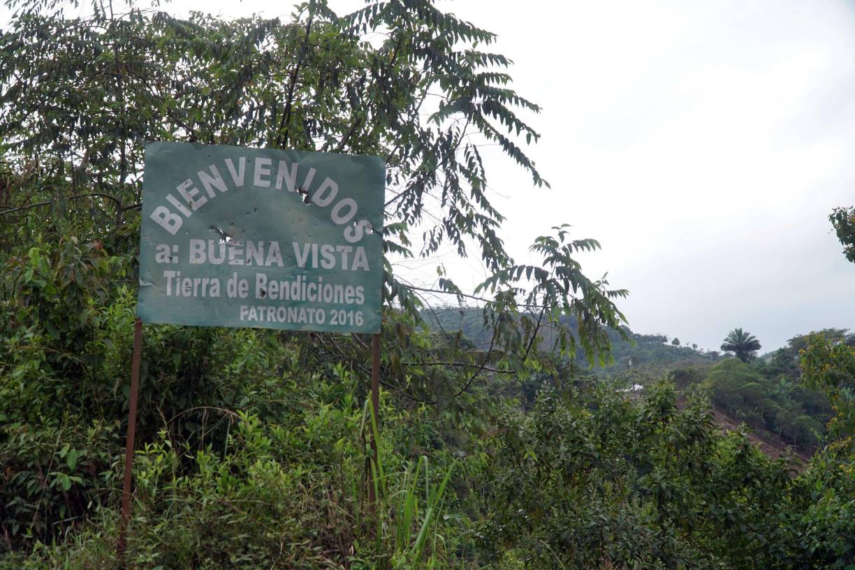 Uno de los trabajadores de la finca relató que al momento del ataque había otras personas, pero los homicidas solo se dirigieron a los cuatro hombres y en la balacera la mujer salió herida, y de la misma impresión le dio un paro cardiaco. 