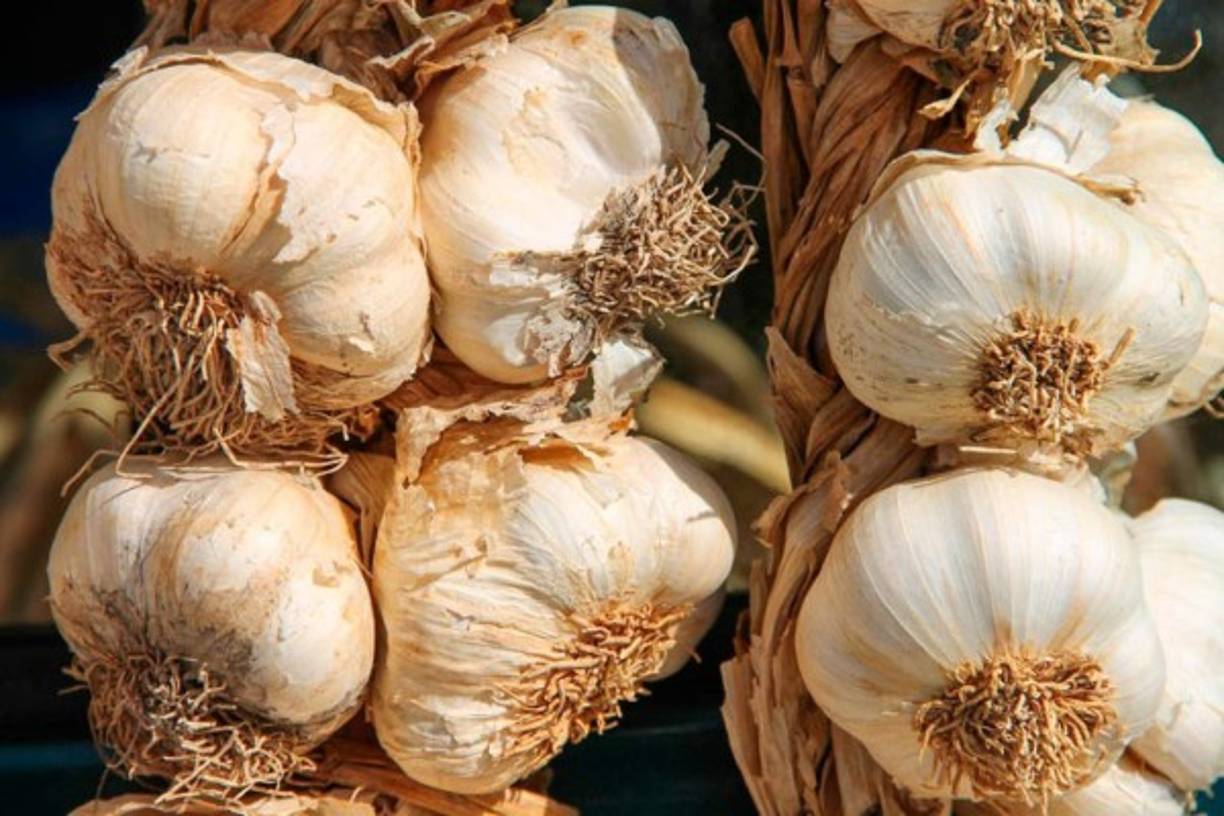 Muchas publicaciones que recomiendan comer ajo para prevenir el coronavirus. La Organización Mundial de la Salud (OMS) señala que si bien es 'un alimento saludable que puede tener algunas propiedades antimicrobianas', no hay evidencia de que comer ajo pueda proteger a las personas del nuevo coronavirus.