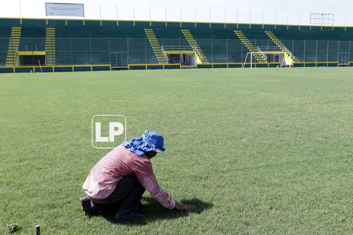 El engramillado del coloso limeño está a un 100% y en óptimas condiciones.