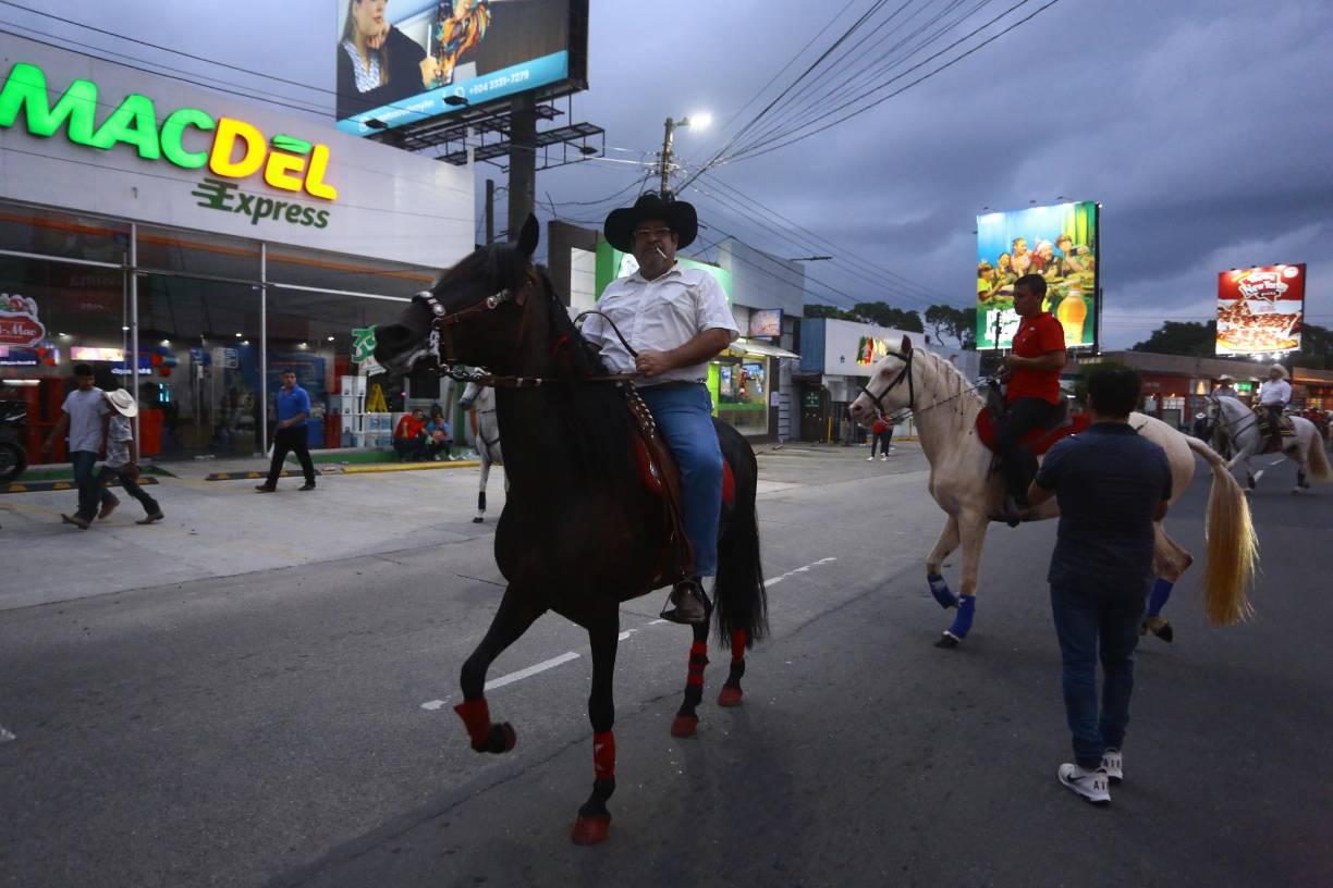 Los caballos pura sangre llamaron la atención de todos los presentes.