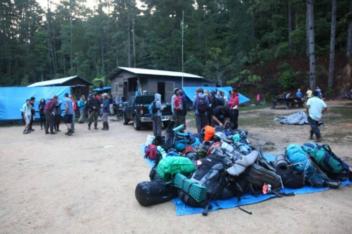Grandes jornadas de investigación han realizado científicos nacionales y extranjeros que llegan hasta este lugar capturados por la variedad de la flora y la fauna.
