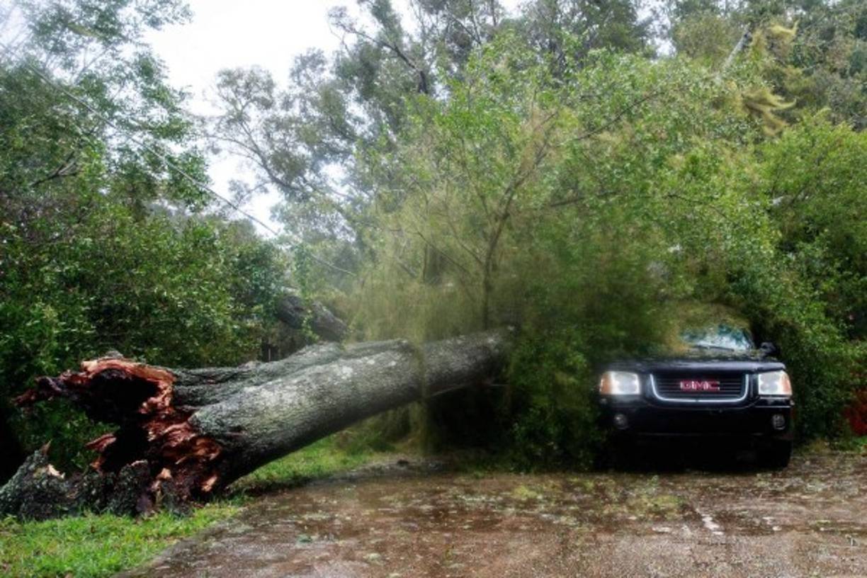 Este vehículo fue aplastado por un arbol caído en la localida de Ormond Beach.
