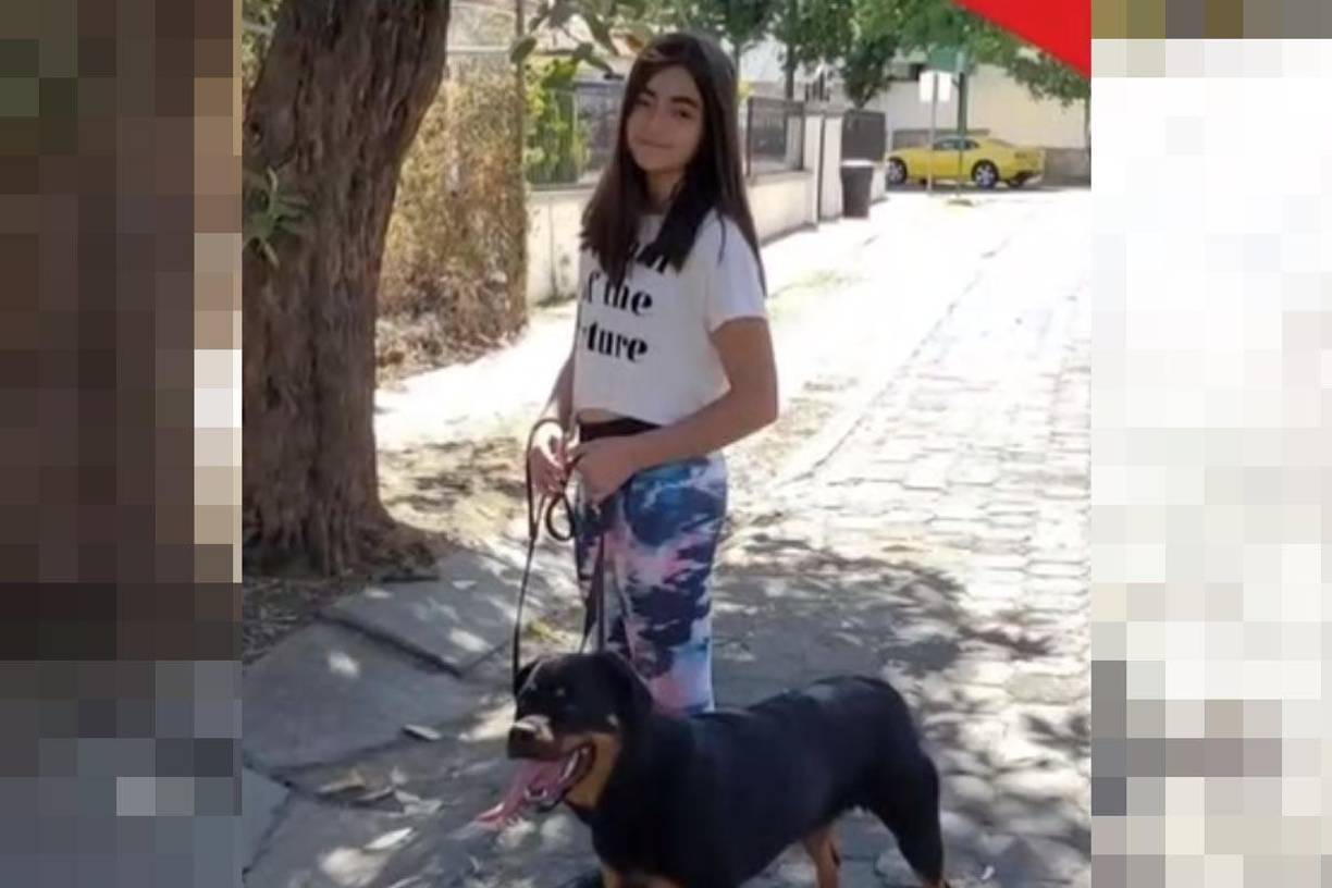 Tras divulgarse el crimen, la Universidad Panamericana de la Ciudad de México, donde estudiaba Ana María, emitió un comunicado para lamentar los hechos.