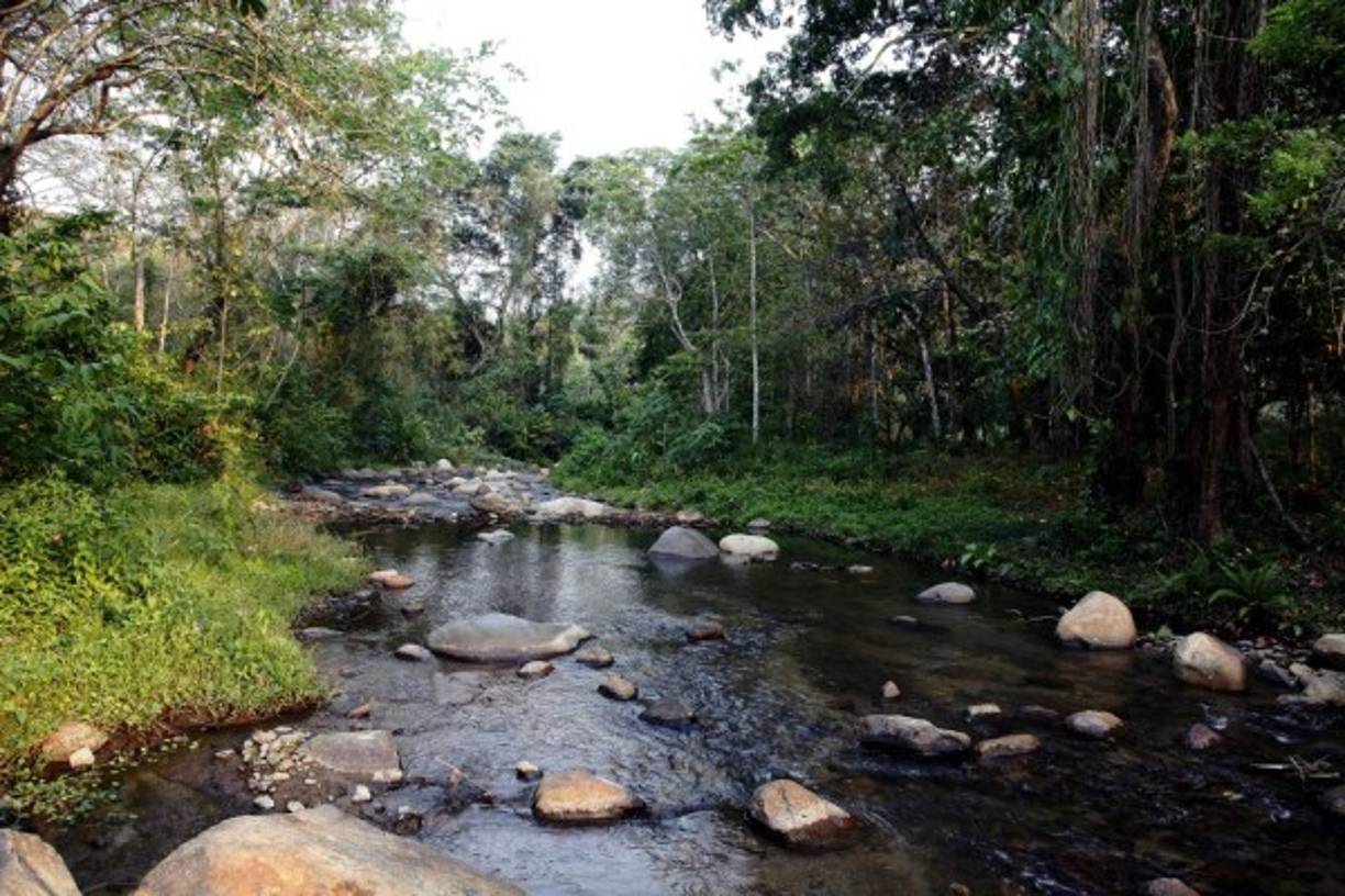 La montaña del Merendón es rica en recurso hídrico. Este es el río Naco, por el lado de Quimistán, Santa Bárbara.