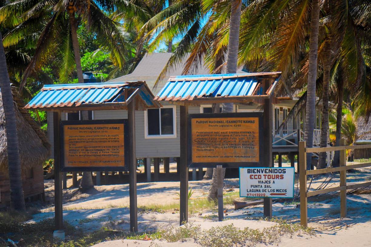 Miami es la puerta de entrada al Parque Nacional Jeannette Kawas. Esta reserva abarca una superficie de 781.62 kilómetros cuadrados y en su punto más alto tiene una altitud de 900 metros.
