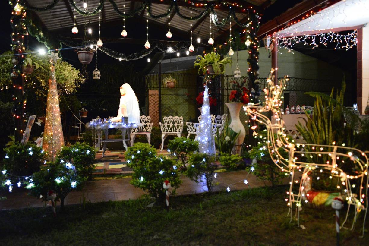Sin embargo, no pudo cumplir su sueño debido a que su familia era de escasos recursos económicos, así que un día se prometió que cuando creciera trabajaría para celebrar la Navidad adornando su casa con un árbol, luces en su patio, flores de pascua y un nacimiento.