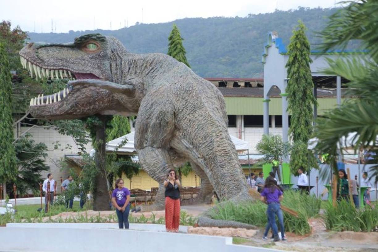 La réplica del dinosaurio es de cinco metros de altura y diez metros de largo, convirtiéndose en el mayor atractivo del museo. Es una de las máximas diversiones durante la Feria Juniana.