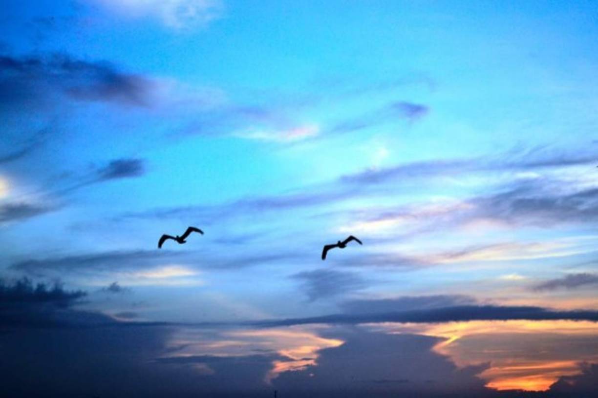 La naturaleza de Honduras inspiraba a Guillermo Anderson para escribir sus canciones.