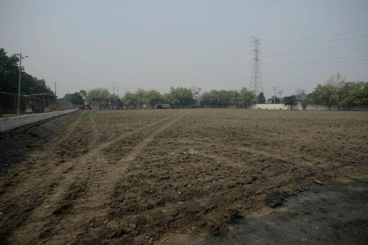 La grama no se está quitando de un golpe, ya que la Gerencia de Deportes planificó colocarla en la cancha ESOFI, donde se juegan las ligas menores en una parte del Estadio Olímpico.