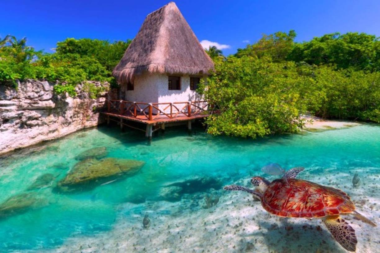 El famoso portal de viajes, TripAdvisor reveló los 25 mejores destinos del mundo para visitar en este 2019. Ciudades impresionantes, llenas de color y además, populares entre los turistas, lamentablemente solo dos de los 25 destinos pertenecen a América Latina.