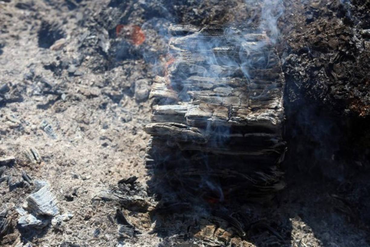 La pérdida de la cobertura forestal favorece la erosión de los suelos y crea riesgos de deslaves una vez que regresan las lluvias.