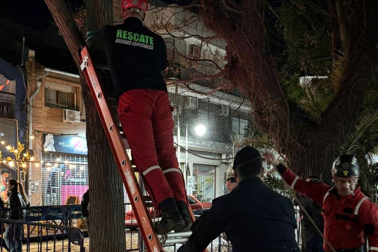 ¡Robo millonario! Primeras imágenes del túnel que iba directo al banco