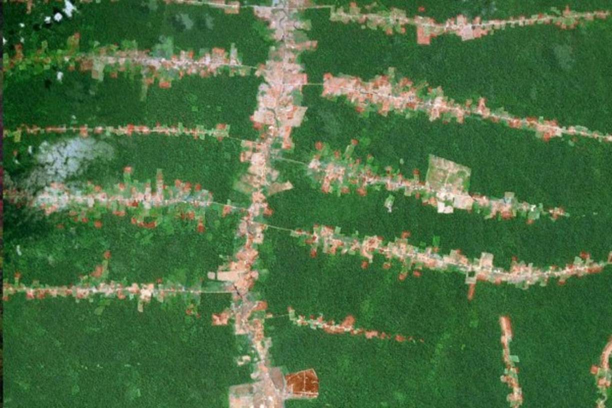 La constante demanda de energía favorece la tala ilegal y la destrucción de zonas como la amazonia en Sudamérica o la biósfera del río Plátano en Honduras.