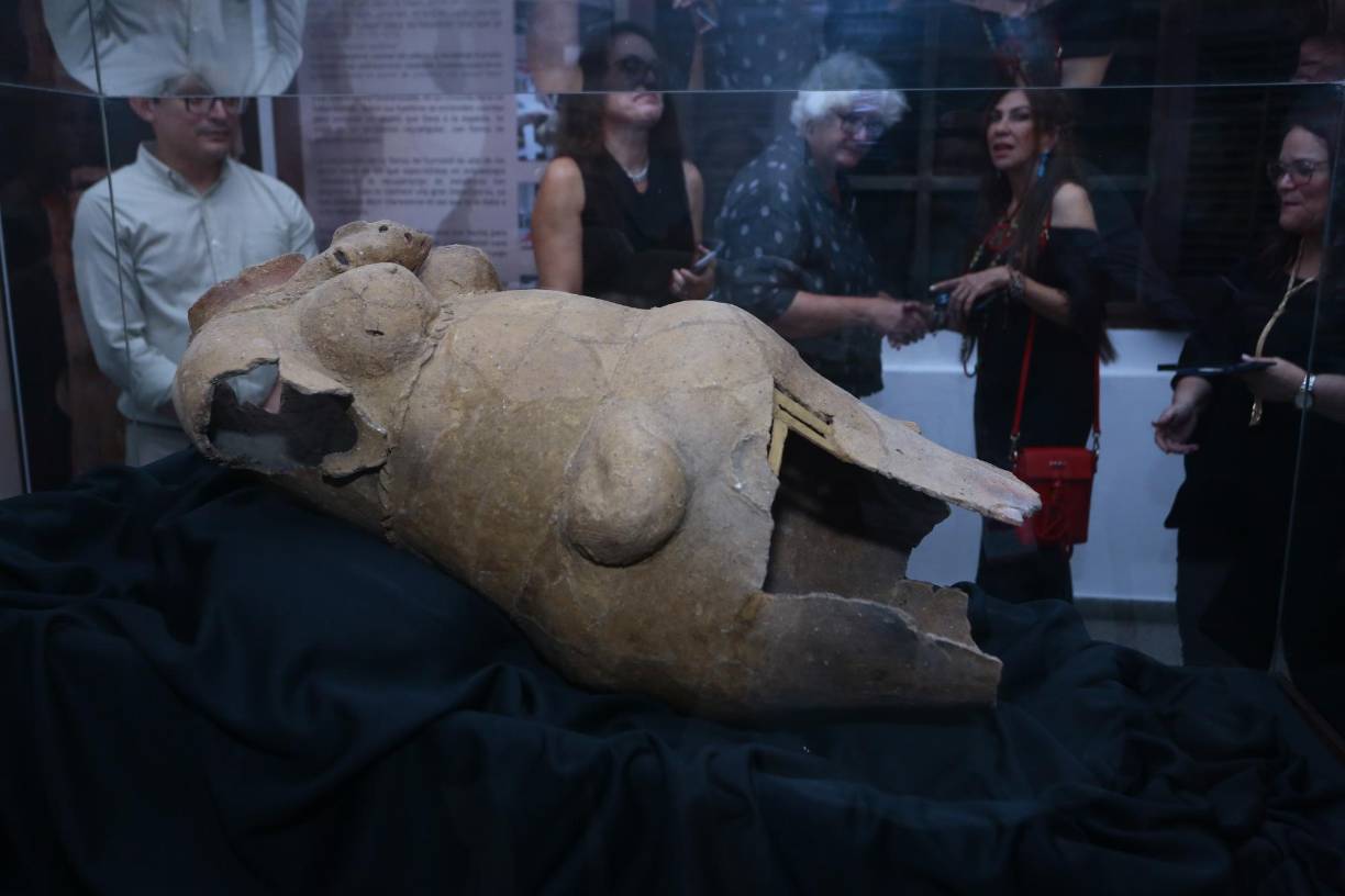 La obra de arte data de los años 700 a 900 DC, es la figura de una mujer de barro de 1.5 metros de altura, con su torso desnudo, ataviada por un objeto colgante que podría ser la piel de un animal, posiblemente de un reptil. Su cuerpo se engrosa justo debajo de sus senos y se agranda, como el de una matrona (no se sabe si está embarazada). 